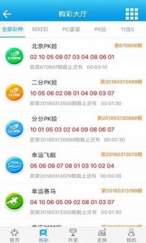 2024新澳门王中王正版,新式数据解释设想_无限版96.952