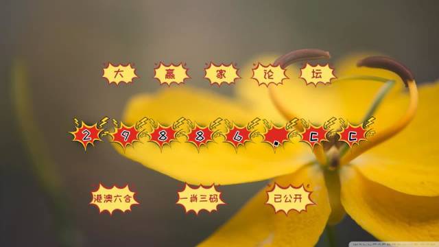 澳门4949最快开奖结果,网络高清一体机_文化版49.166