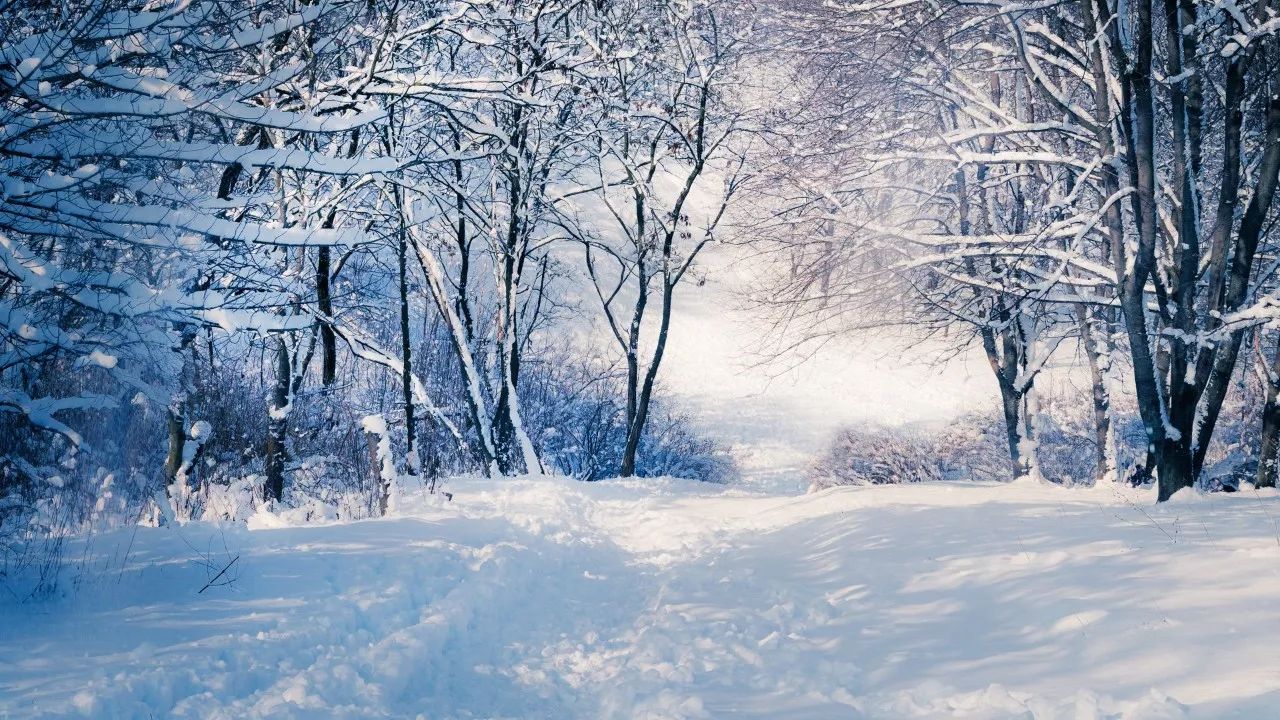 超雪最新版，科技魅力的新时代引领者！