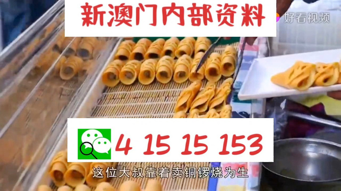 2024新澳门天天开好彩大全正版,系统评估分析_安全版70.238