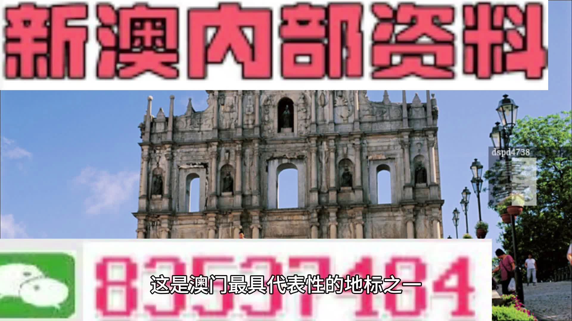 2024新澳门正版免费资料,新式数据解释设想_限量版89.899