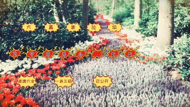 一肖一码一必中一肖,科学解说指法律_炼气境73.104