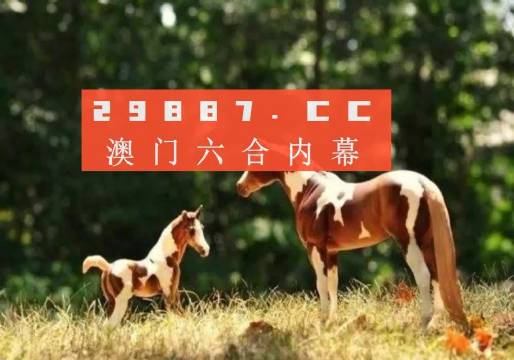 新澚门2024今晚四不像资料,稳固执行战略分析_魂银版63.318