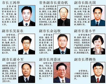 重庆政府领导最新分工及步骤指南概览