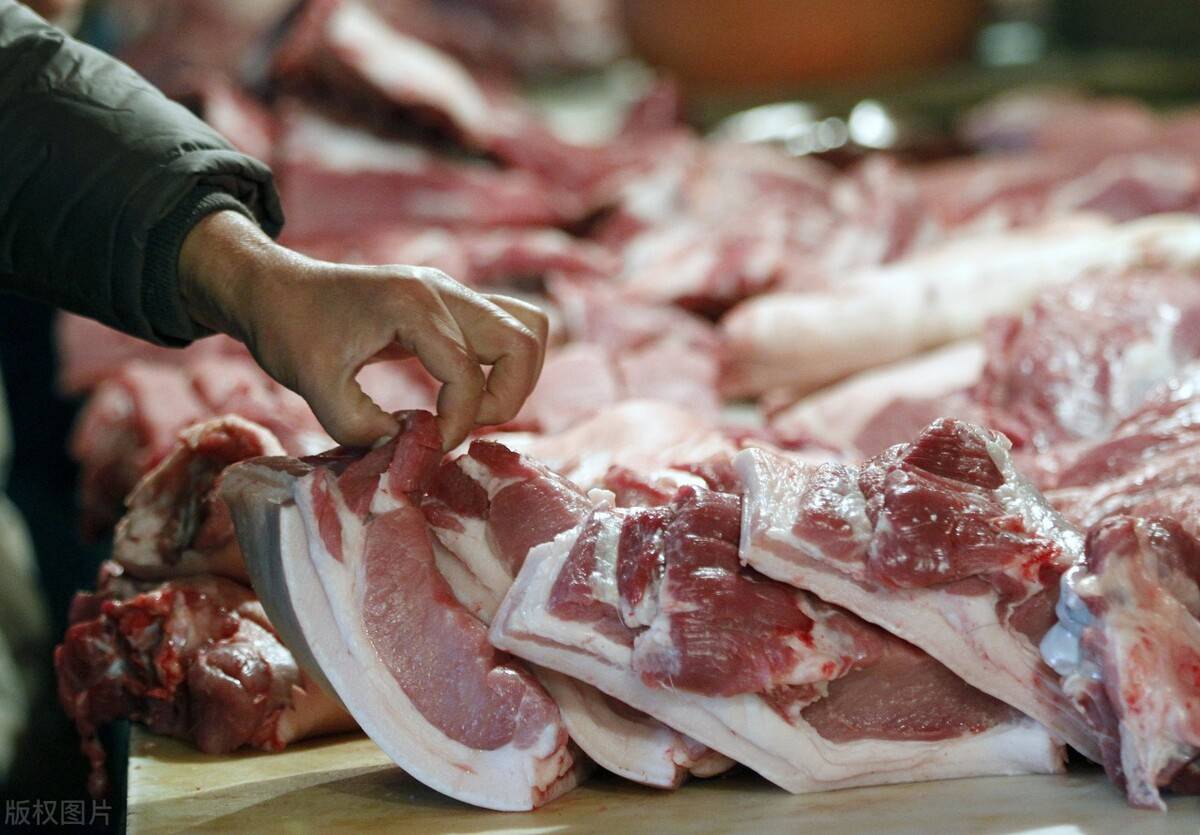 今日白条猪肉批发价格变动与成就之路的自信源泉
