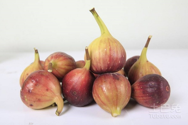 新鲜无花果，尝鲜指南与独特魅力探索
