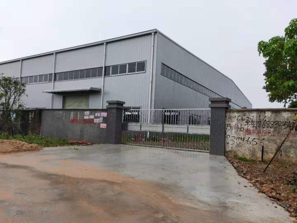 🌟惠州市马安镇最新动态揭秘🌟