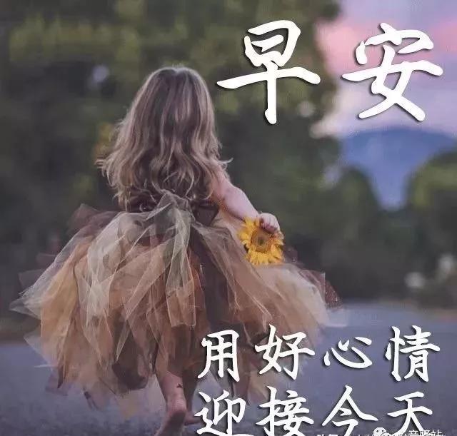 拥抱自然，踏上寻找内心平静的最新旅程