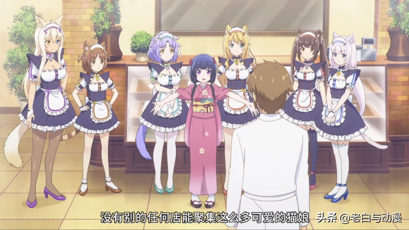 猫娘动漫图片，魅力与争议并存