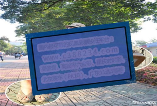 山东群英会最新开奖结果及查询步骤指南（适用于初学者与进阶用户）