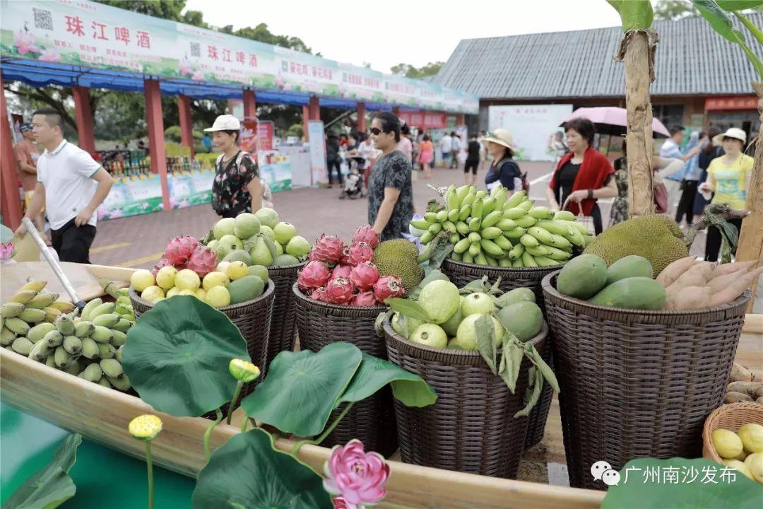 青蟹最新行情与友情海洋之旅，一场关于陪伴的密语