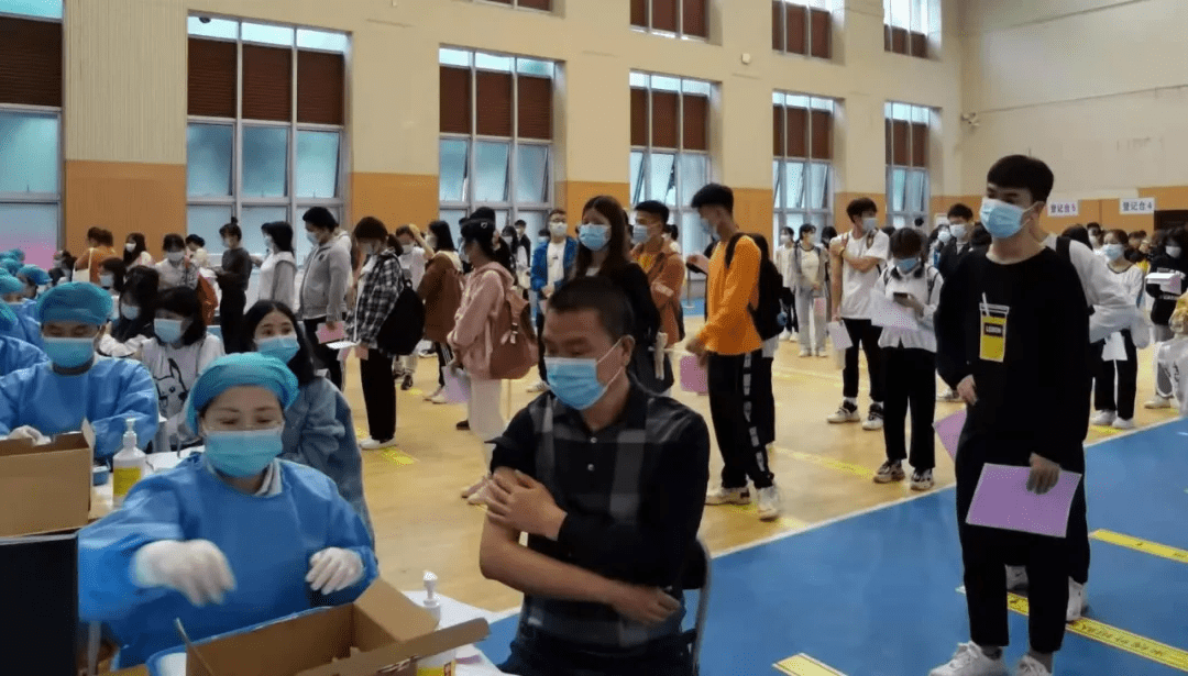 金马甲最新动态，自然美景探险之旅，探寻内心平和与宁静的旅程