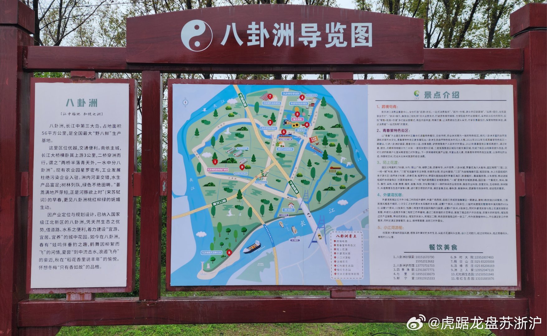 八卦洲最新动态小红书带你领略新闻前沿✨