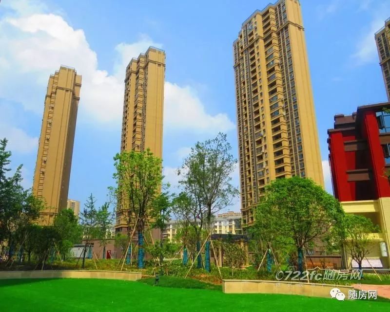 随州房产网最新楼盘详解，购房指南与步骤攻略